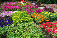 Demonstration garden