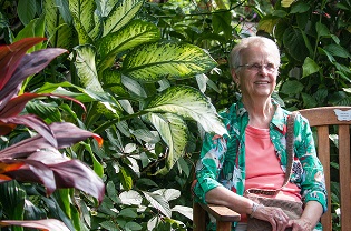 Butterfly House Adult