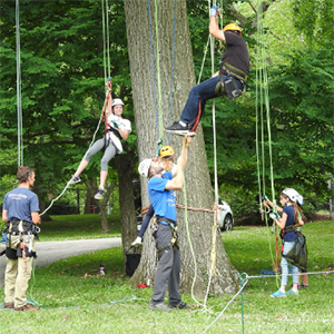 Group starting to climb