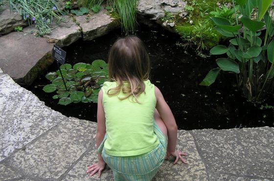 Child looking in pond