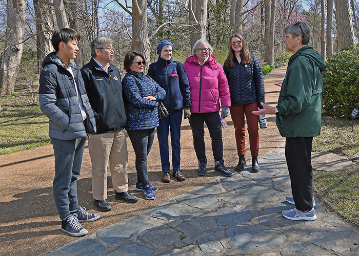 Guided walking tour