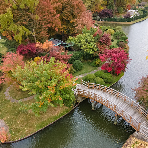 Aerial view of island in picturesque lake