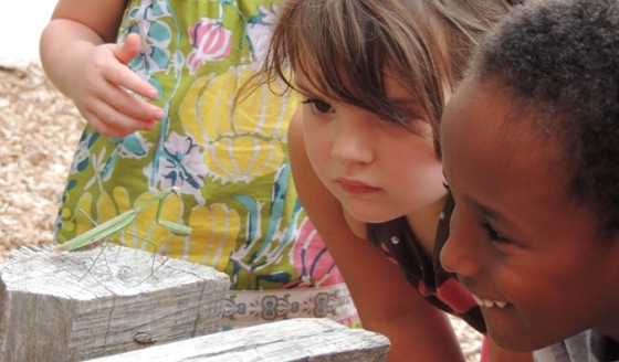 Girls examining mantis