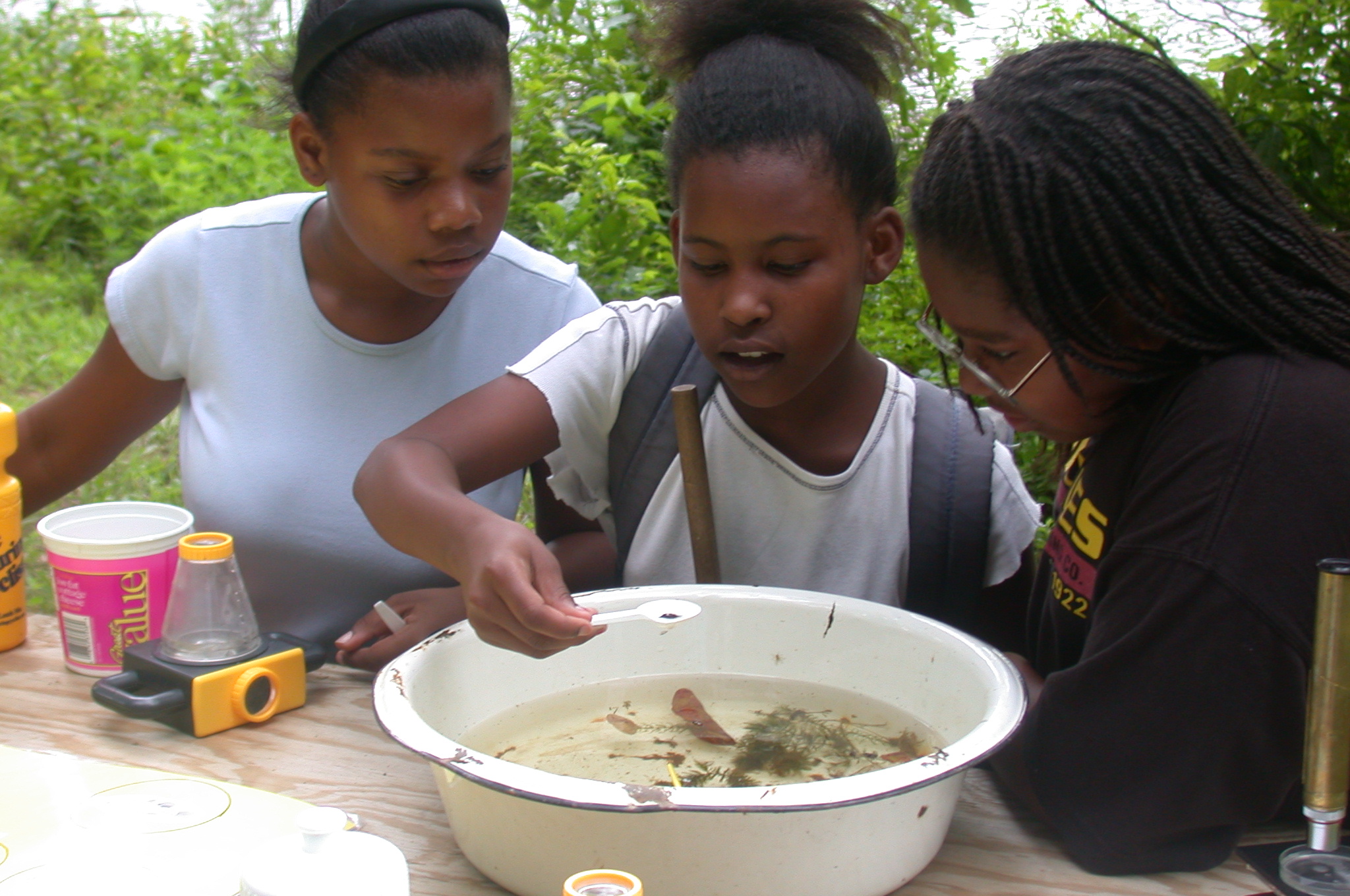 pond ecology