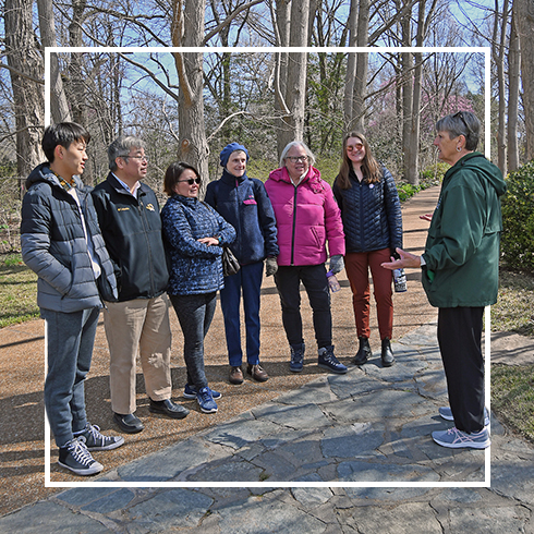 Public walking tour