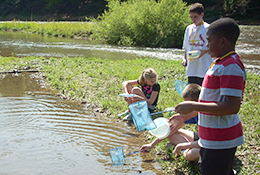 School group netting in a pond