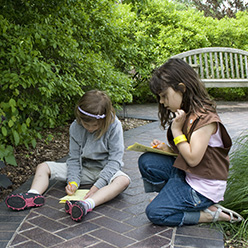 Brownies in Kemper Gardens at MBG