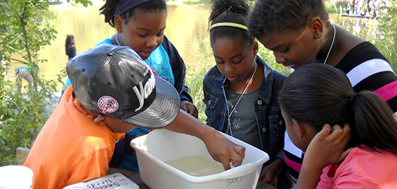 Students investigating aquatic macroinvertebrates