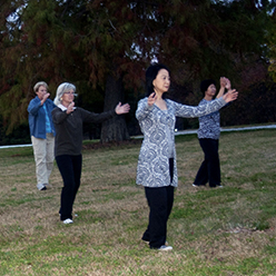 Tai Chi