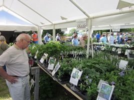 Shoppers at a sale