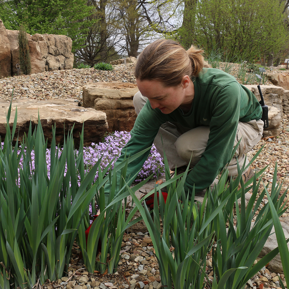 Woman gardening