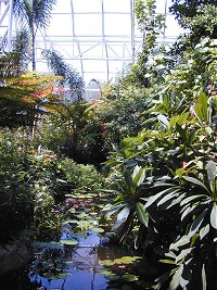 Inside the tropical conservatory