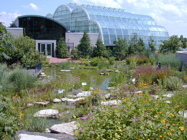 Outdoor butterfly garden